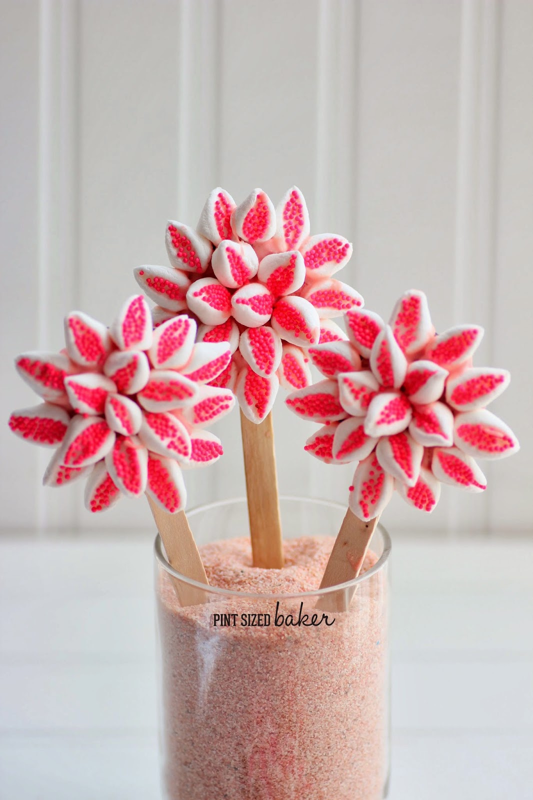 Oreo Mum Cookie Flowers 4 1+ps+Oreo+Mum+flowers+(60)