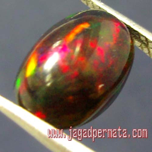 kalimaya black opal batu akik kalimaya black opal batu akik