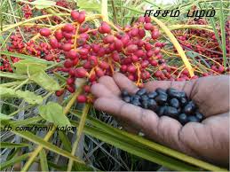 Afficher l'image d'origine