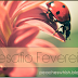 Desafio do mês de Fevereiro