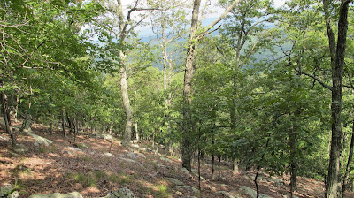 hiking up Cacapon Mountain