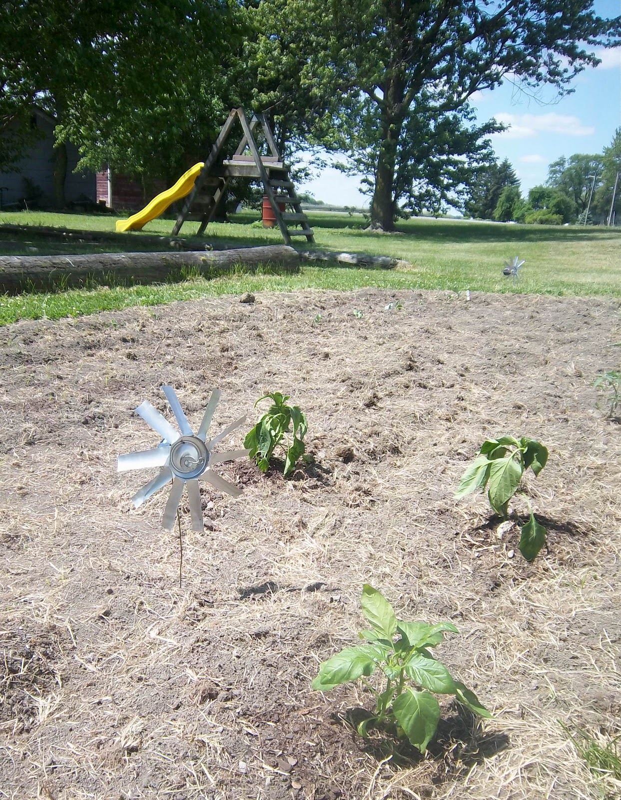 Home Ideazz How to Make your Own Bird Noise Scarer