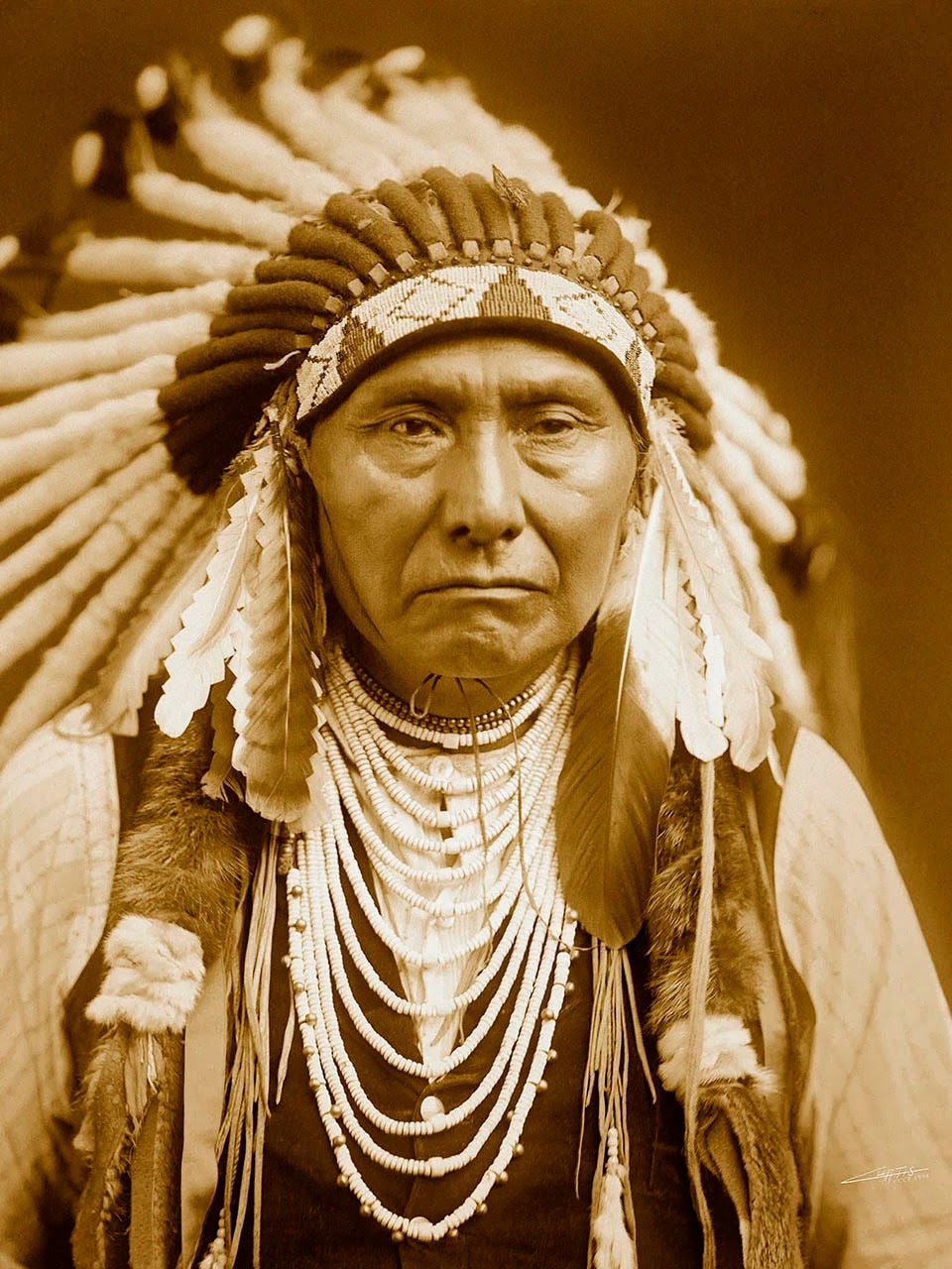 fas in native americans essay fas in native americans essay