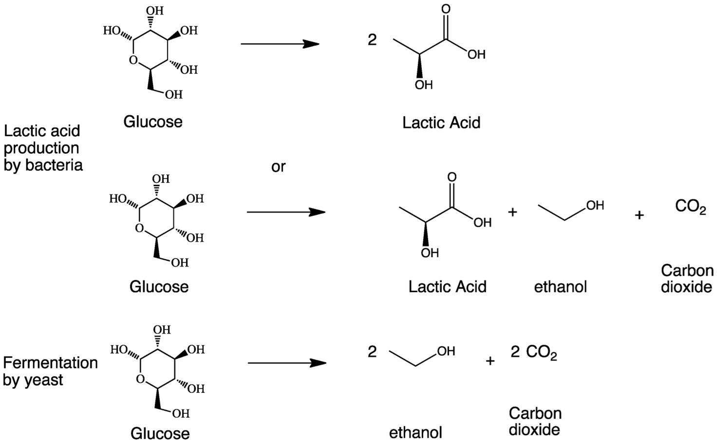 worksheet Fermentation Worksheet fermentation worksheet abitlikethis what is the definition of des photoa de fond
