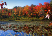 Autumn New England2