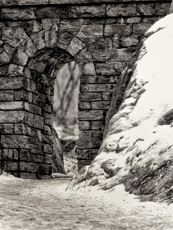 Wheelchair Kamikaze Winter’s Discontents