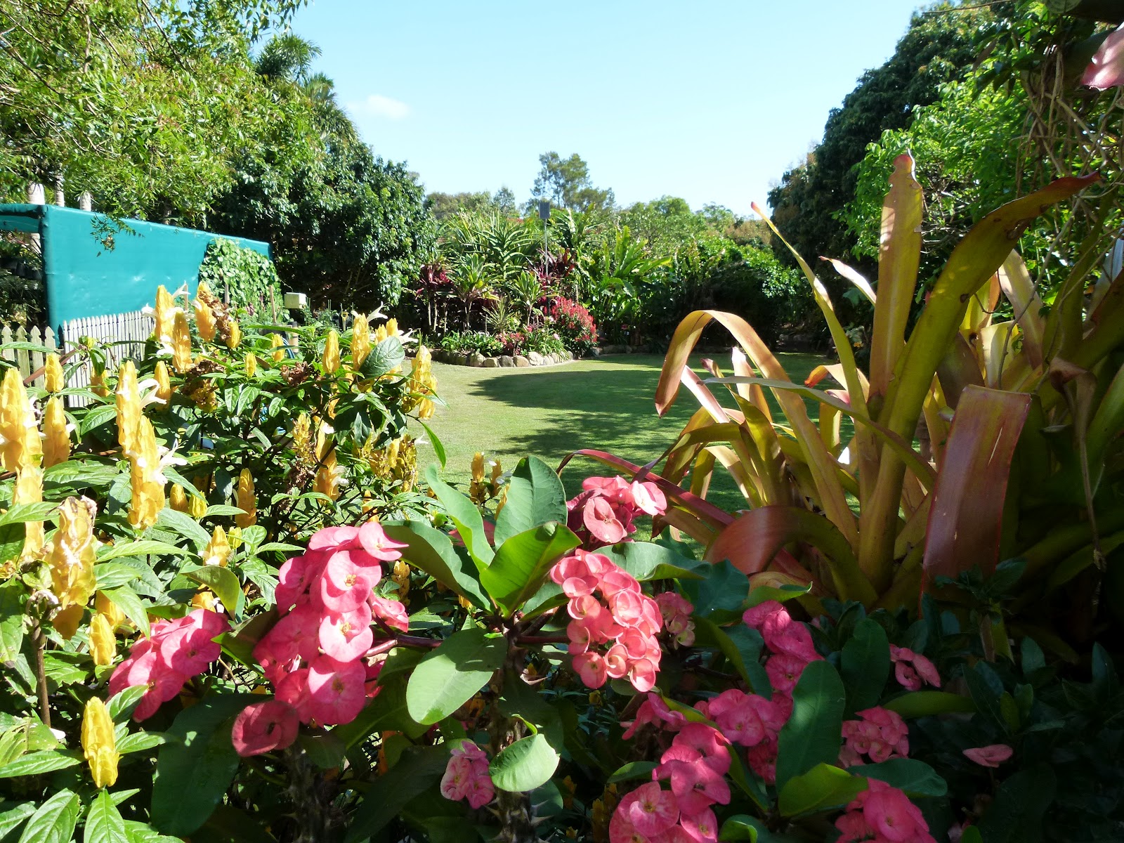 SubTropical Queensland Open Garden Things we love about Gardening