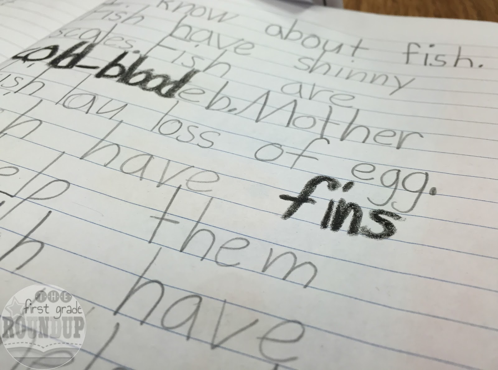 Using NonFiction Features in Our Writing Firstgraderoundup