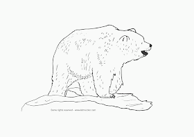 Coloriage ours : imprimer dessin ours a colorier
