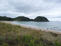 View on Matapouri beach, new zealand
