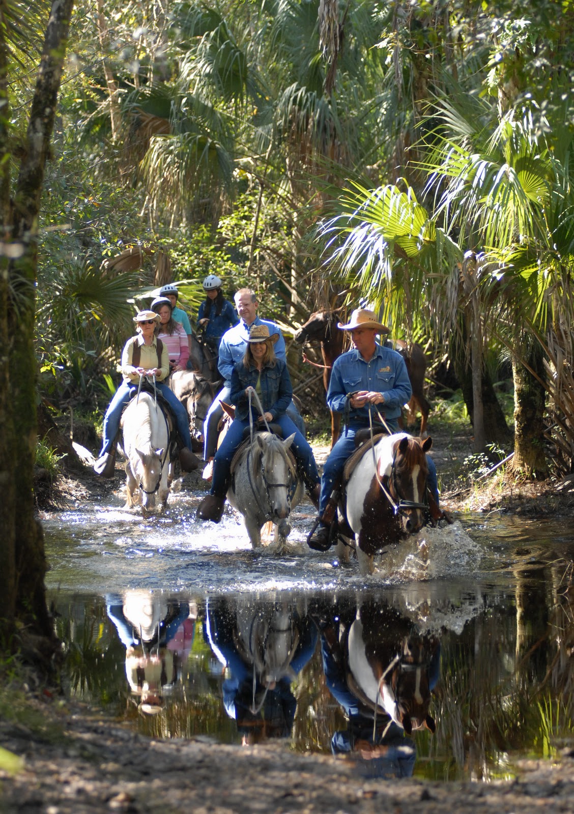 Along the Edge Florida Eco Safaris Through the Tree Tops