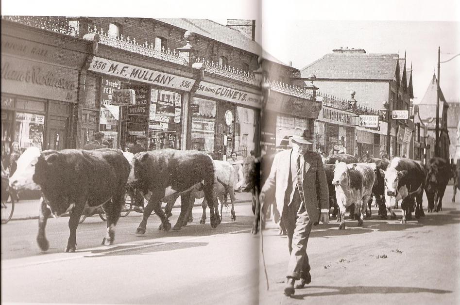 dublin livestock market