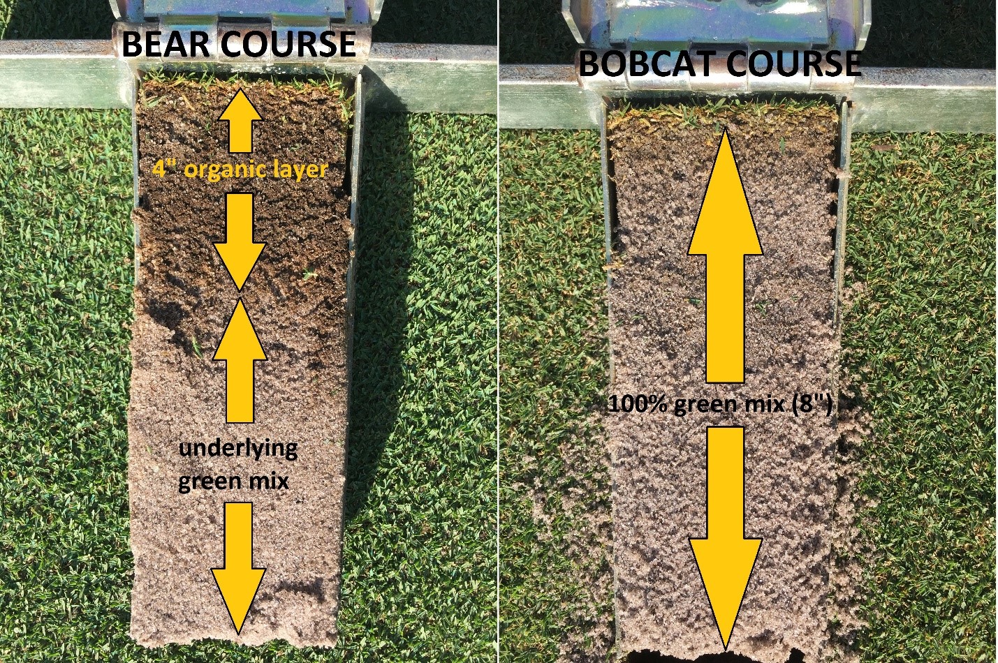 The Forest Country Club Golf Course Maintenance New Greens Agronomy 101