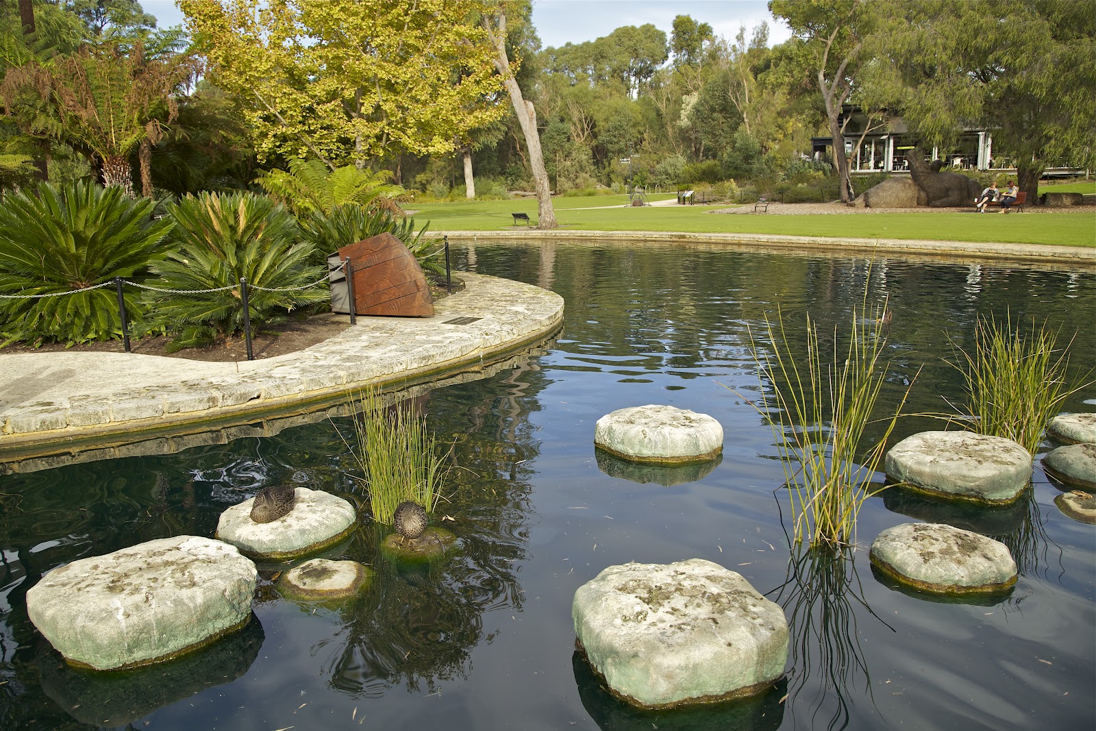 Perth and Other Places Synergy Playground Kings Park