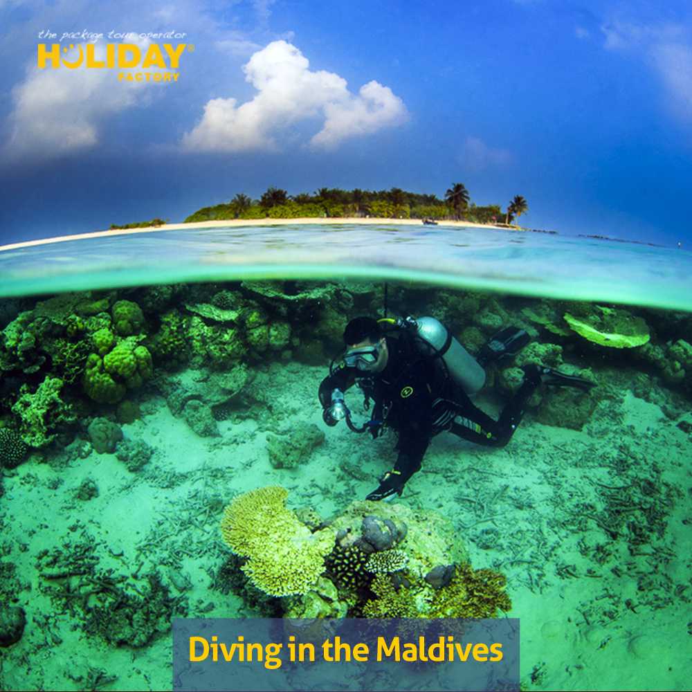 Holiday Factory Diving in the Maldives.