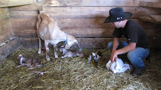 WWOOF usa north carolina
