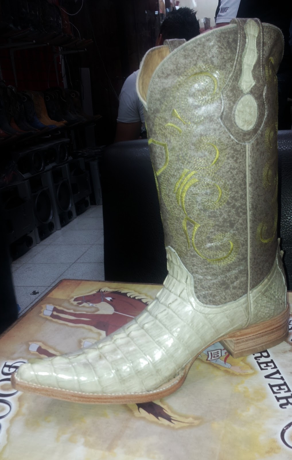 botas de avestruz y cocodrilo