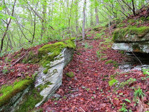 Mary Smith Hill