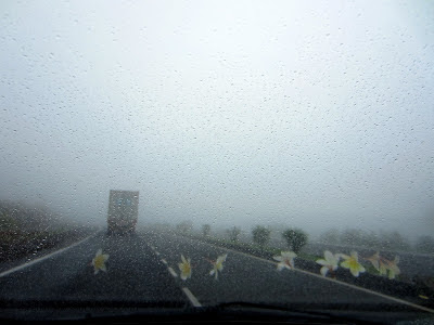 NH-3 NH-3