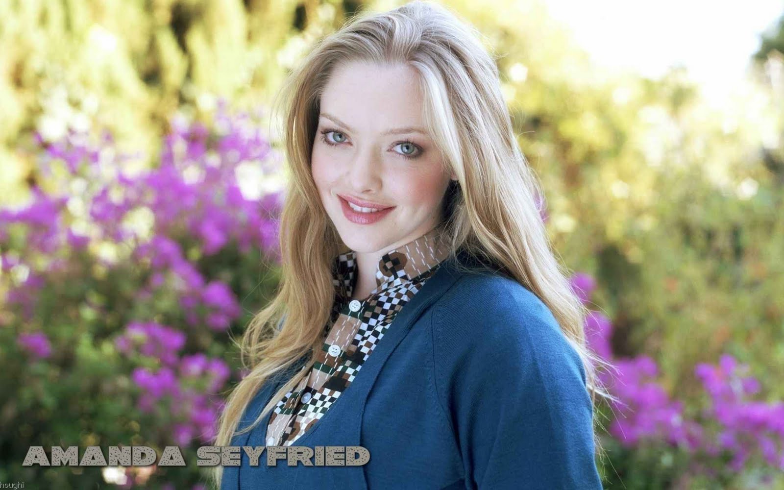 http://4.bp.blogspot.com/-WO9LAWGixwQ/Ti155NiXdAI/AAAAAAAAKGo/hn4aYSEIKbE/s1600/amanda_seyfried_20091211_0089.jpg