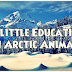 A Little Education On Arctic Animals