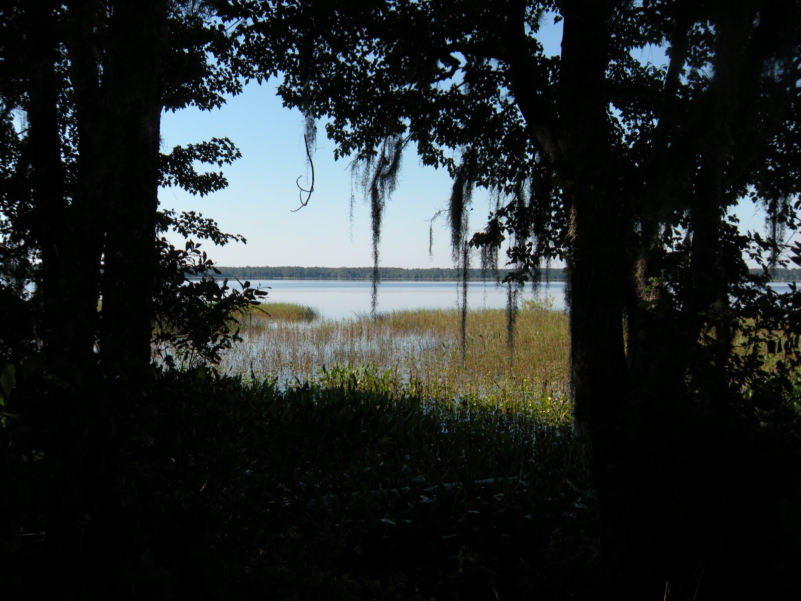 Our Adventures with "Josie" Ocean Pond, Olustee Florida