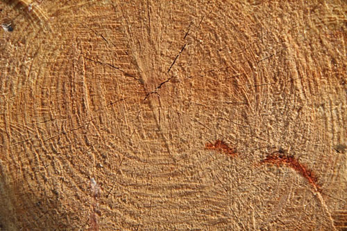 free texture