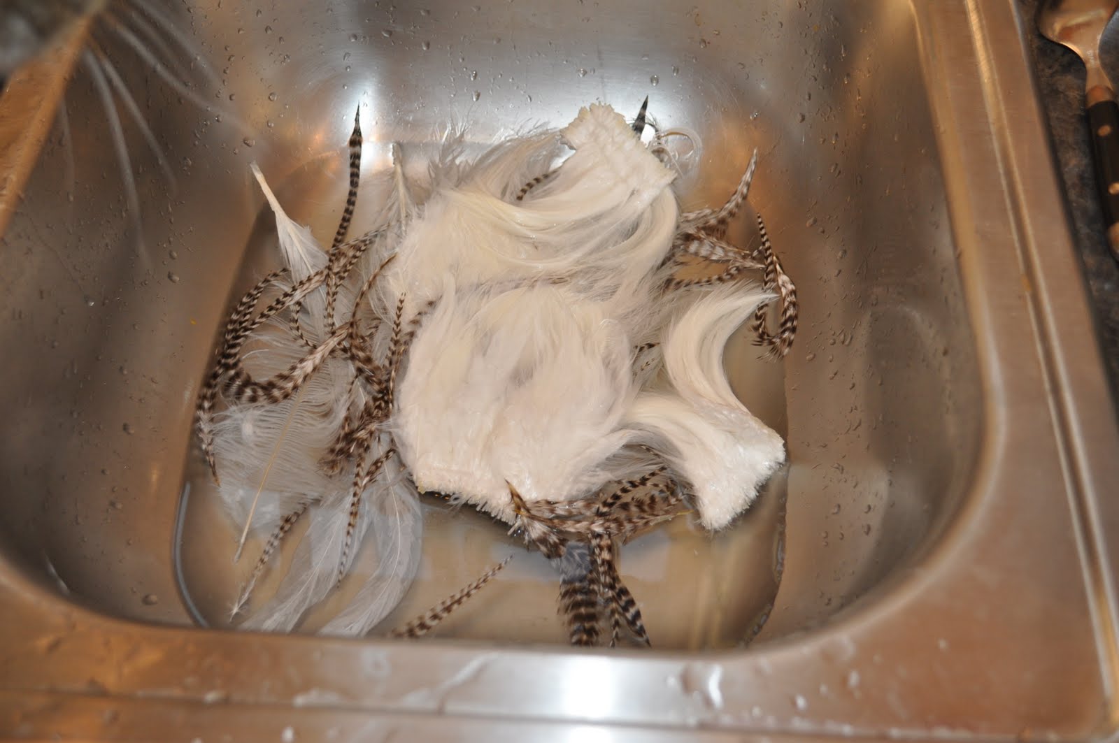 Nicole Northway How to Dye Feathers Tutorial