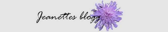 Jeanettes blogg