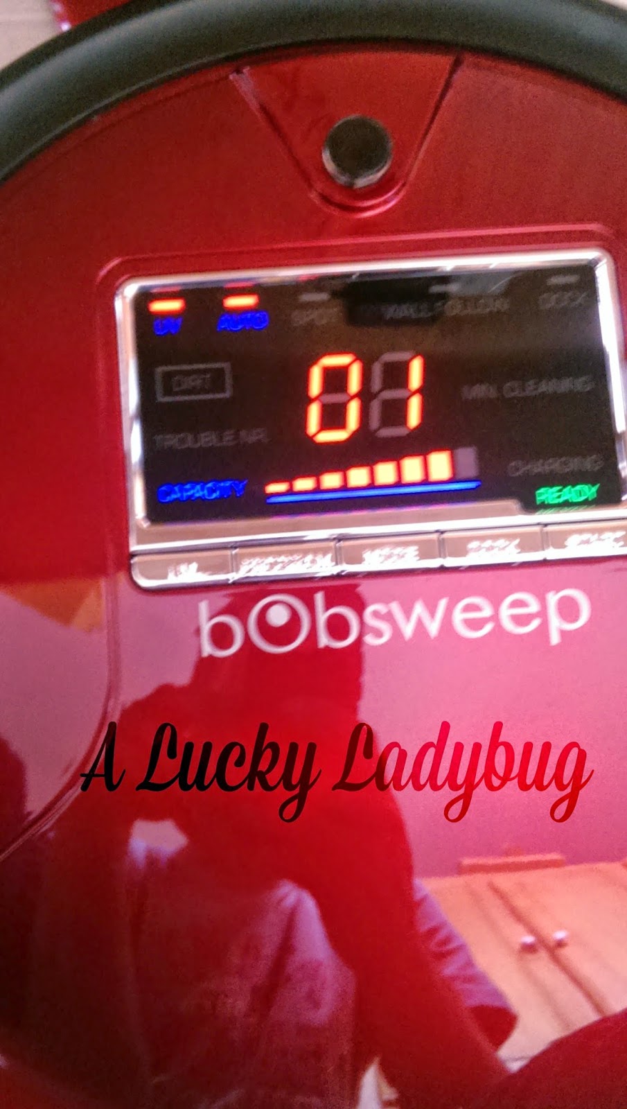 A Lucky Ladybug BObsweep Pethair Robotic Vacuum Cleaner and Mop Review