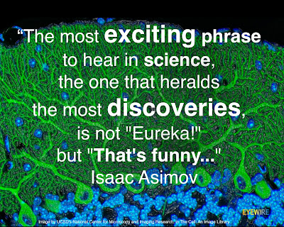 Great Quotes Great Quotes
