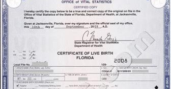 birth certificate florida copy