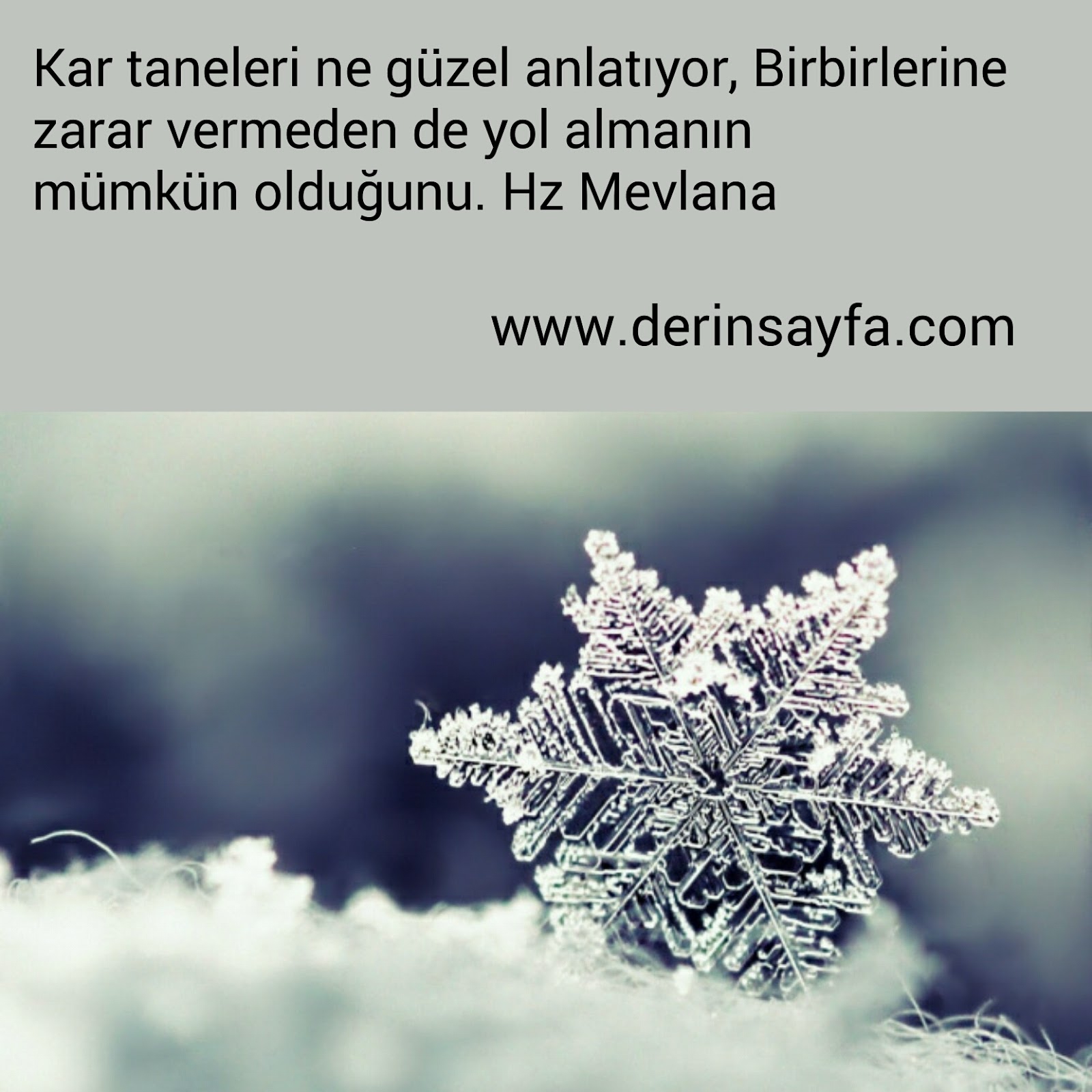Hayatla ilgili sözler mevlana Hayatla ilgili sözler mevlana