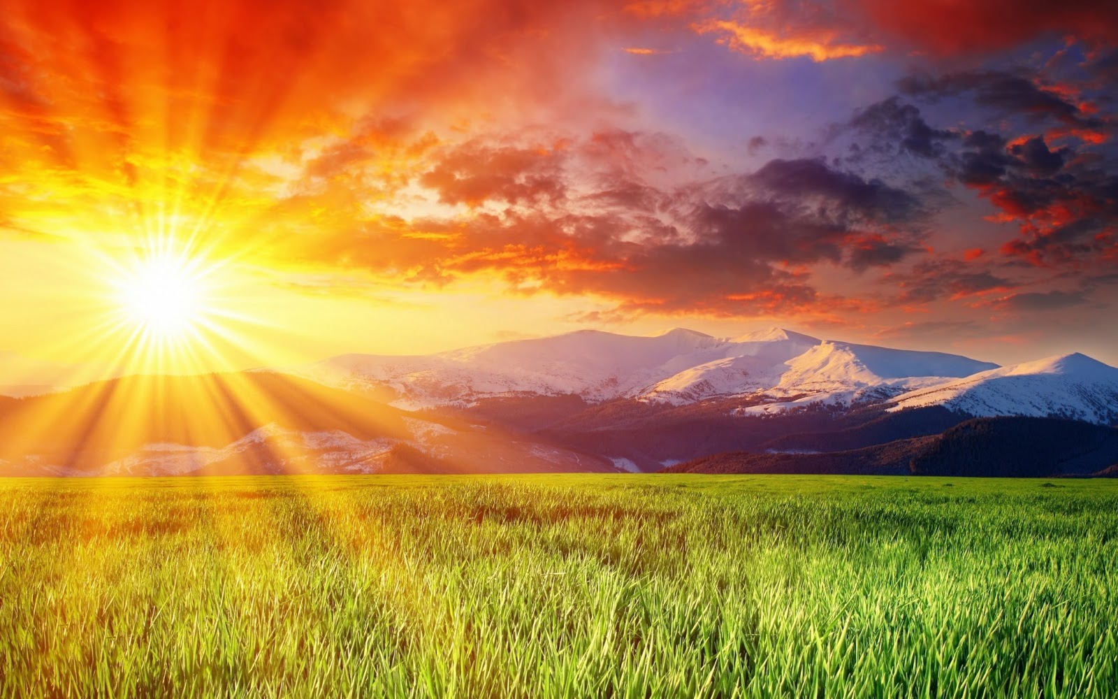 nature hd wallpapers 1080p
