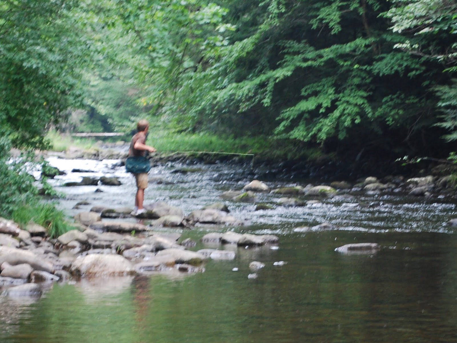 Litton's Fishing Lines Novices Fly Fish the Flatbrook