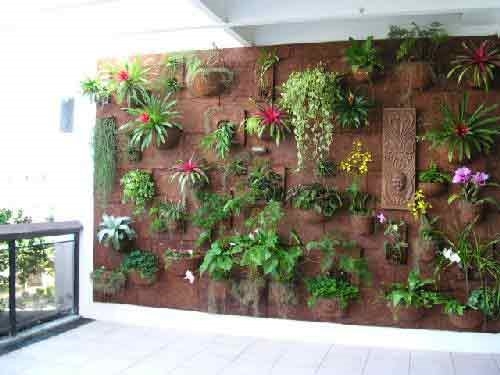 parede pode sim receber sua coleção de plantas; parede pode sim receber sua coleção de plantas;