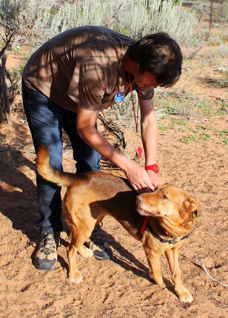 Best Friends Animal Society Sanctuary Kanab Utah