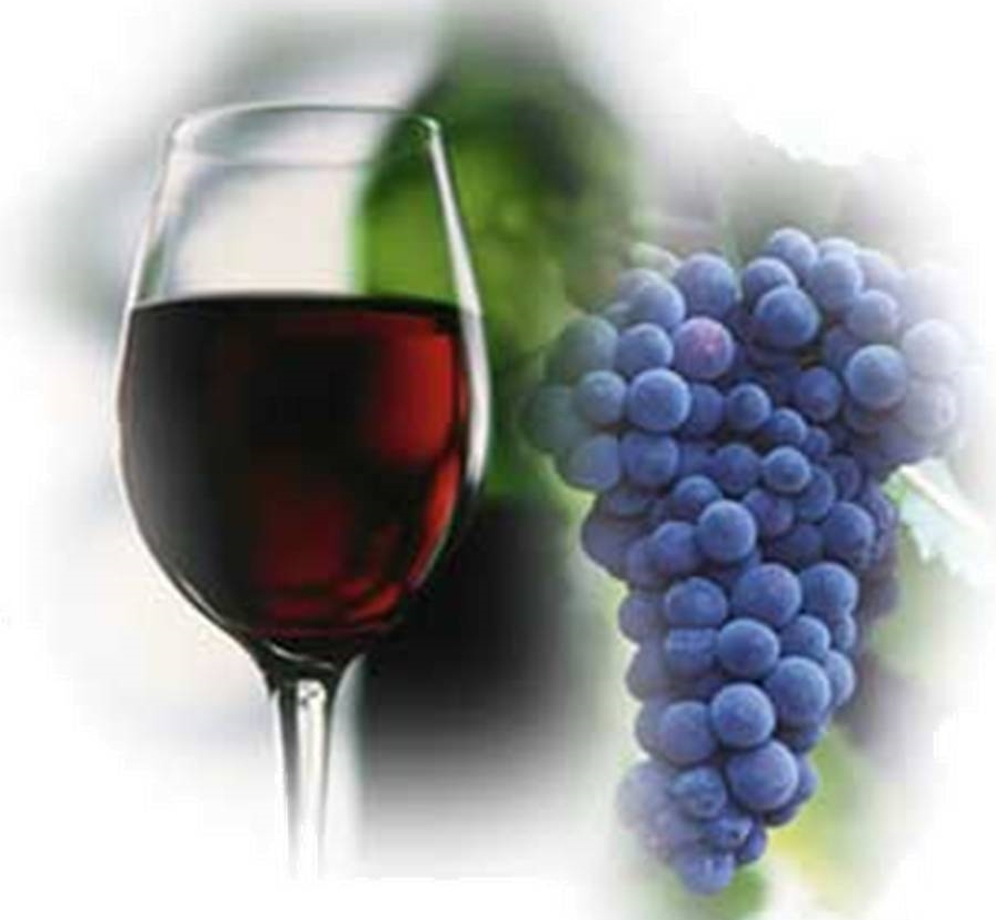 PLAINFIELD TODAY Library wine tasting event this weekend