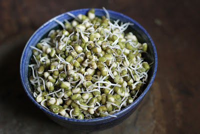 sprouted moong dal or mung bean sprouted moong dal or mung bean