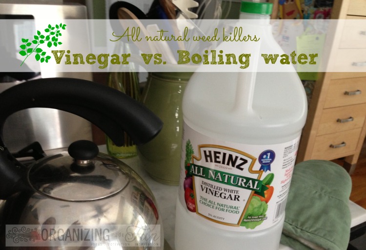 All Natural Weed Killer Vinegar vs. Hot water Organizing Made Fun