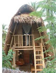 Nipa Hut