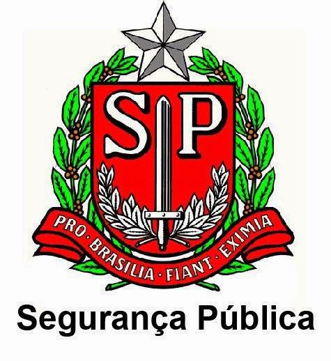 SEGURANÇA PÚBLICA