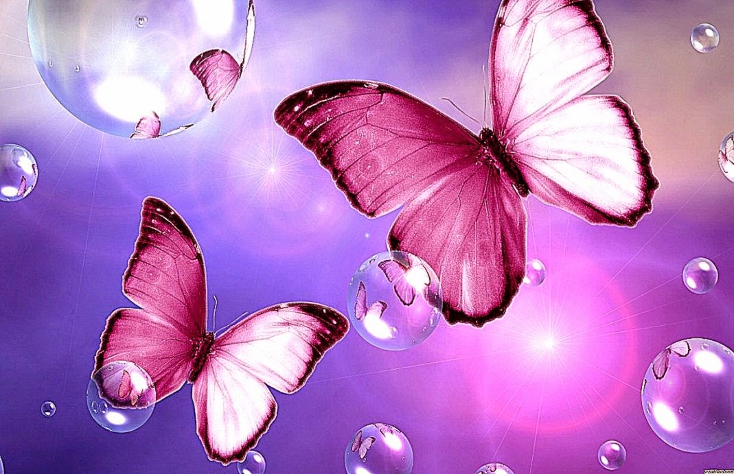 Butterfly and flowers wallpaper Wallpaper Wide HD Butterfly and flowers wallpaper Wallpaper Wide HD