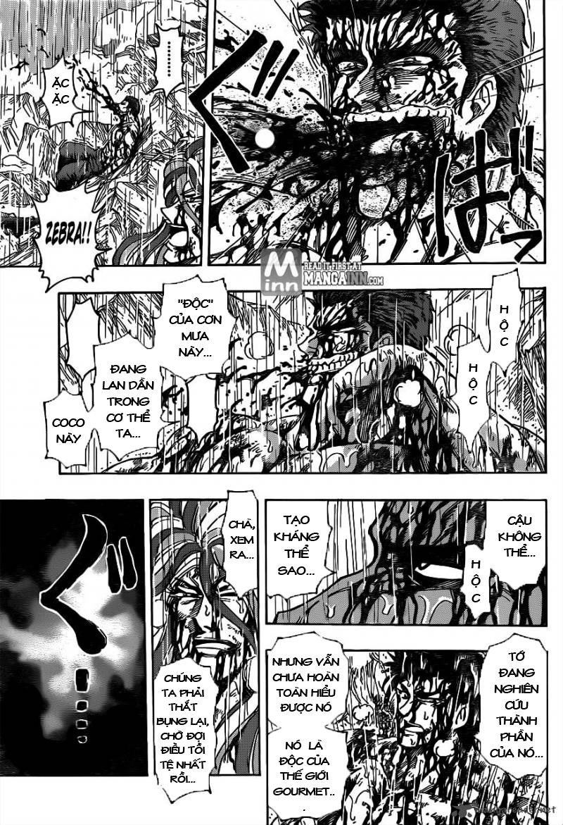 Toriko chap 205