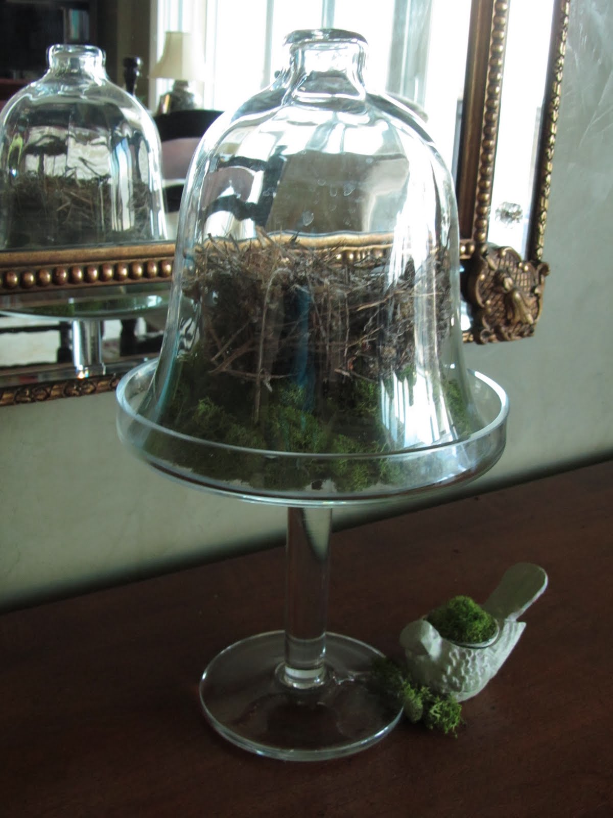 Connecting Pieces Decorating with Birds Nest