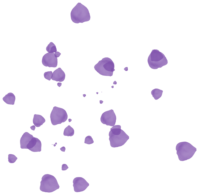 purple flower petals