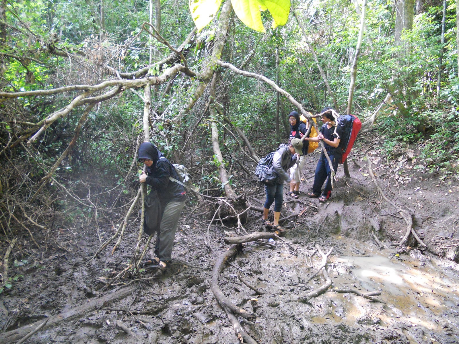 ammalisme: Info Biaya Perjalanan Jogja Pulau Sempu Bromo ...