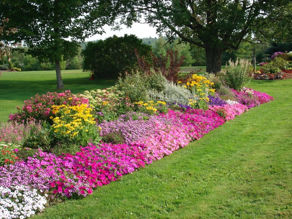 edging design ideas designs for garden flower beds edging design ideas designs for garden flower beds