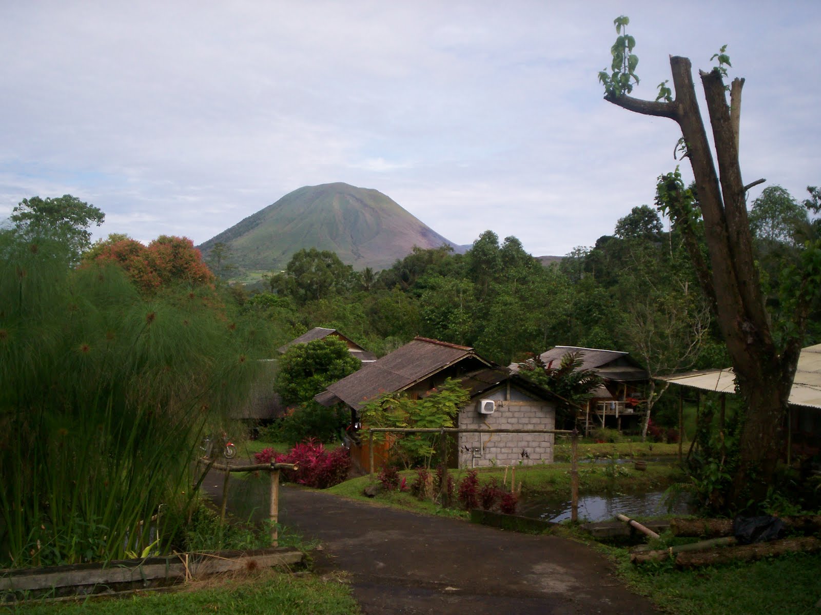 WILLIAM RESORT TOMOHON CITY NORTH SULAWESI