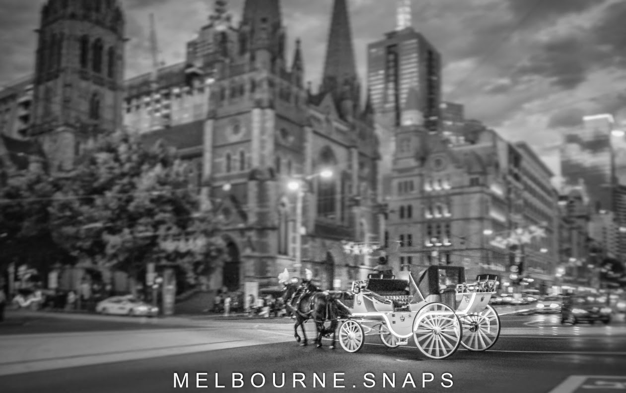 MELBOURNE.SNAPS MELBOURNE IN BLACK AND WHITE